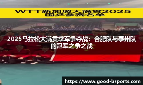 2025马拉松大满贯季军争夺战：合肥队与泰州队的冠军之争之战